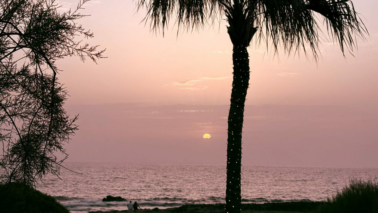 „Poznanie siebie to początek wszelkiej mądrości. Odkrywając swoje talenty, odkrywamy drogę, którą warto podążać”