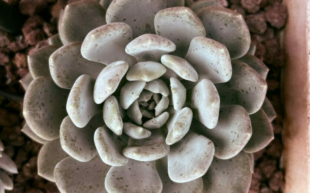 „Szczęście to nie cel, ale sposób podróżowania”