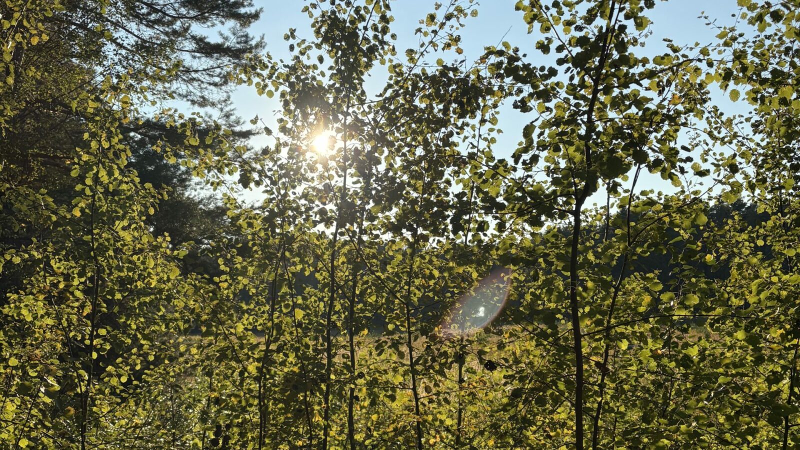 „Nauczyłam się, że spokój to nowy sukces.”