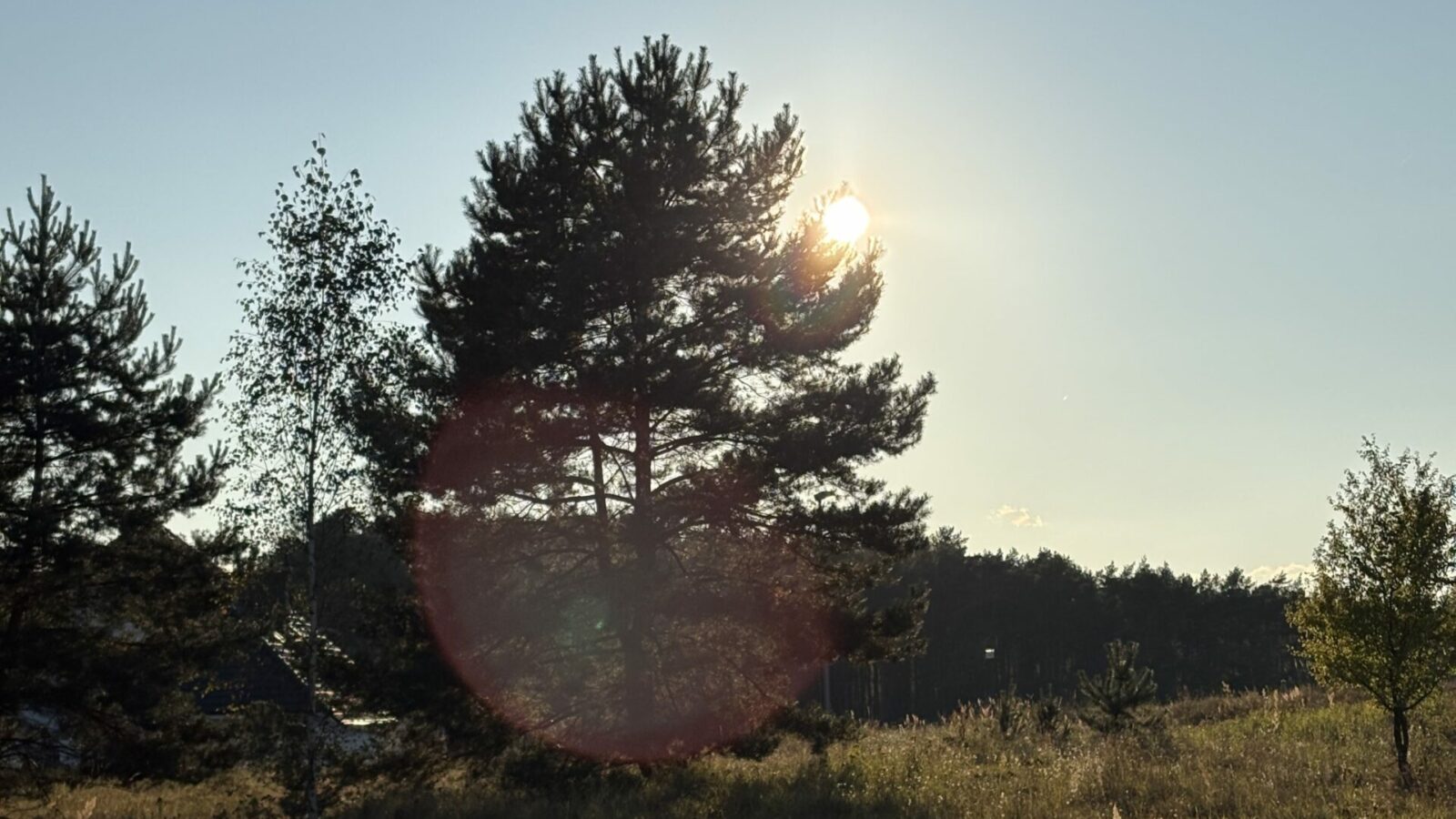 „Doskonałość można osiągnąć wyłącznie przez rozwijanie swoich mocnych stron, a nie przez walkę ze słabościami. (…) Wykorzystuj z pożytkiem swoje silne strony i panuj nad słabościami.”