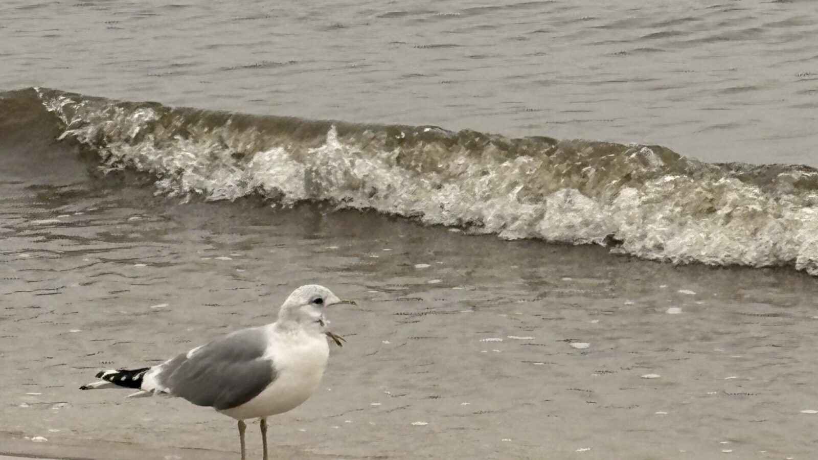 Dlaczego rezygnujemy z bezpieczeństwa pracy na „etacie” na rzecz pracy internetowej/ własnej działalności?