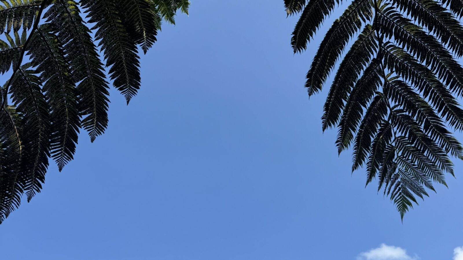 „Nie traćmy czasu. Już dzisiaj żyjmy życiem z naszych marzeń.”